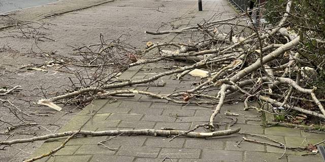 Avusturya’da şiddetli fırtınada devrilen ağaçlar 2 çocuğun ölümüne yol açtı