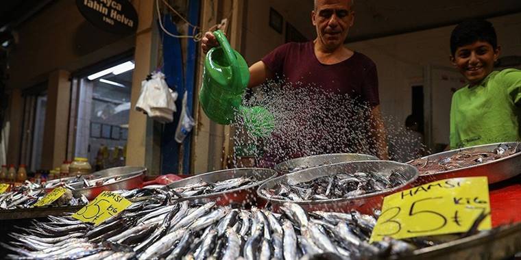 Sezon açıldı balıkçı tezgahlarında çeşit arttı, fiyat düştü