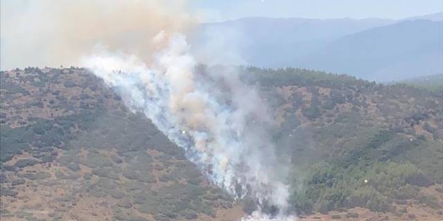 Burdur'da çıkan orman yangını kontrol altına alındı