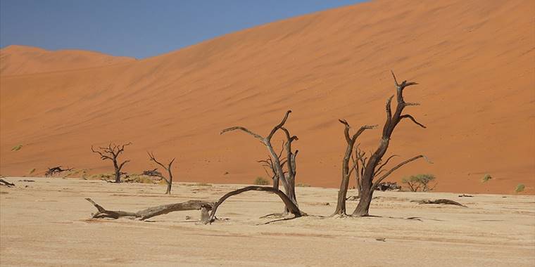 Afrika iklim değişiminden ötürü GSYH'nin yüzde 15'i kadarını kaybediyor