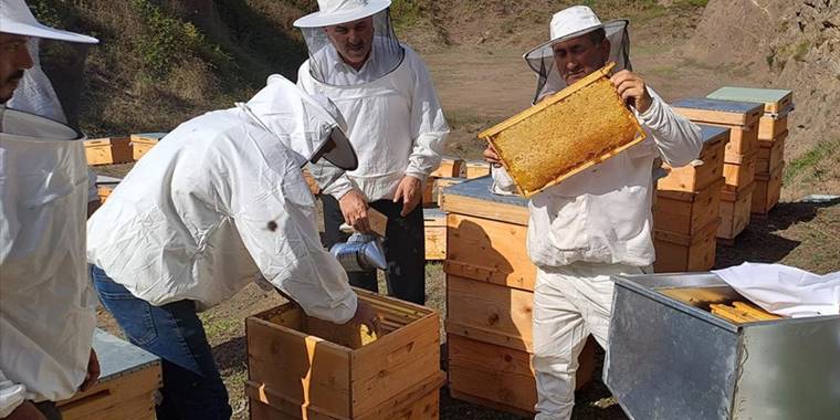 Sakarya balında bu yıl 16 bin ton rekolte bekleniyor