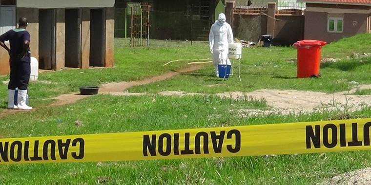 Afrika ülkeleri, Ebola salgını nedeniyle acil toplanıyor