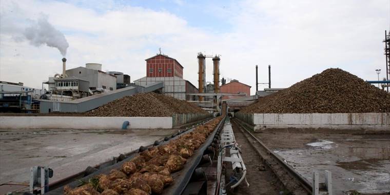 Kayseri Şeker 6 ildeki pancar sahasından 3 milyon tonun üzerinde rekolte bekliyor