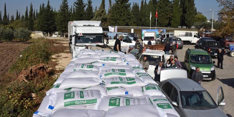 Bursa'da atıl tarım arazileri yüksek verimli buğday tohumuyla ekonomiye kazandırılıyor