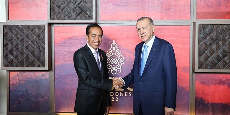 Cumhurbaşkanı Erdoğan, Endonezya Devlet Başkanı Widodo ile bir araya geldi