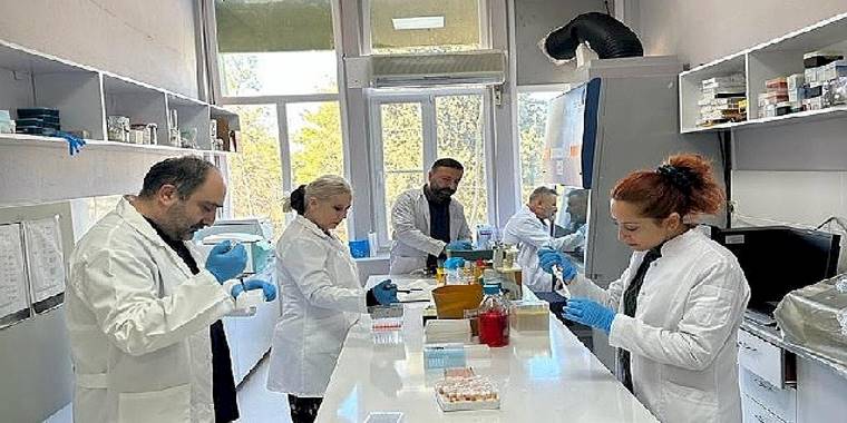 Harran Üniversitesi'nde Brucella Konusunda İki Önemli Uluslararası Çalışma