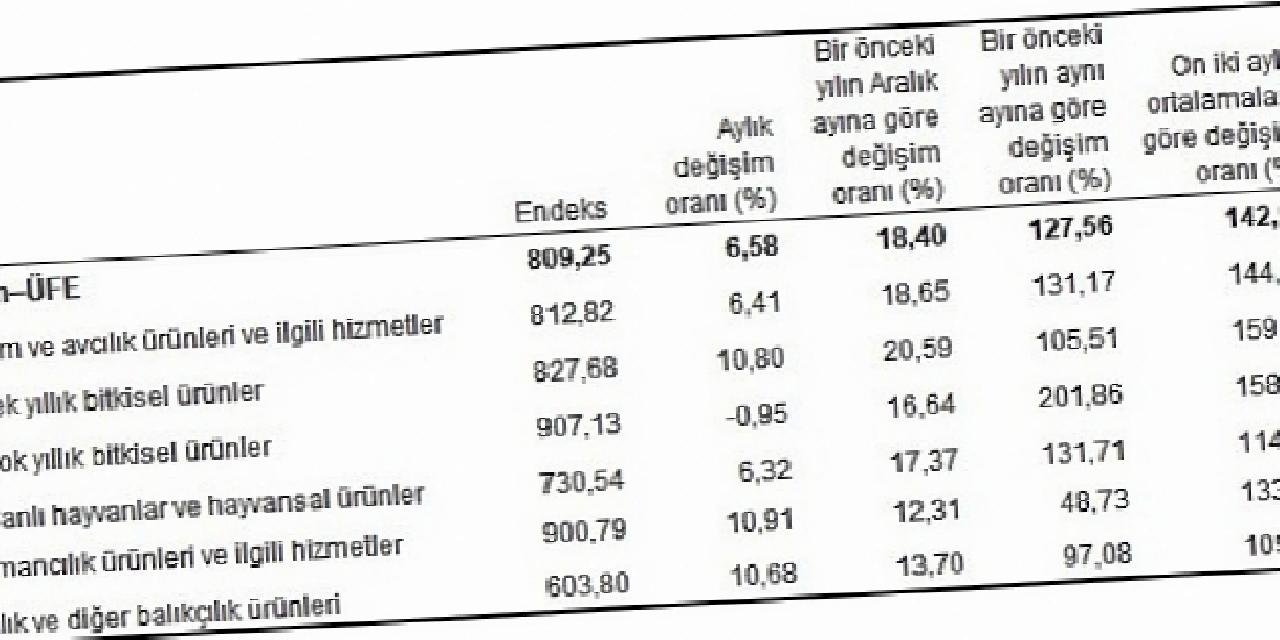 Tarım ürünleri üretici fiyat endeksi (Tarım-ÜFE) yıllık %127,56, aylık %6,58 arttı