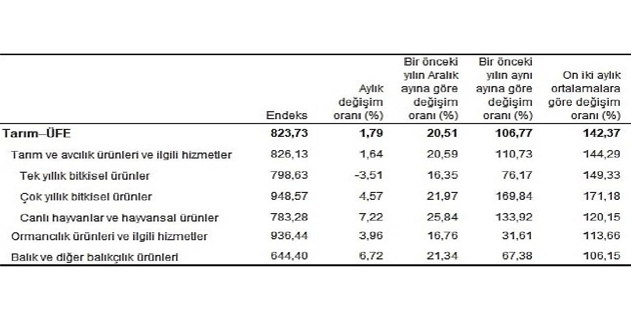 TÜİK: Tarım ürünleri üretici fiyat endeksi (Tarım-ÜFE) yıllık %106,77, aylık %1,79 arttı