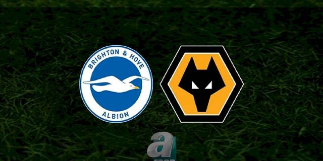 Brighton - Wolverhampton maçı ne zaman, saat kaçta ve hangi kanalda? | İngiltere Premier Lig