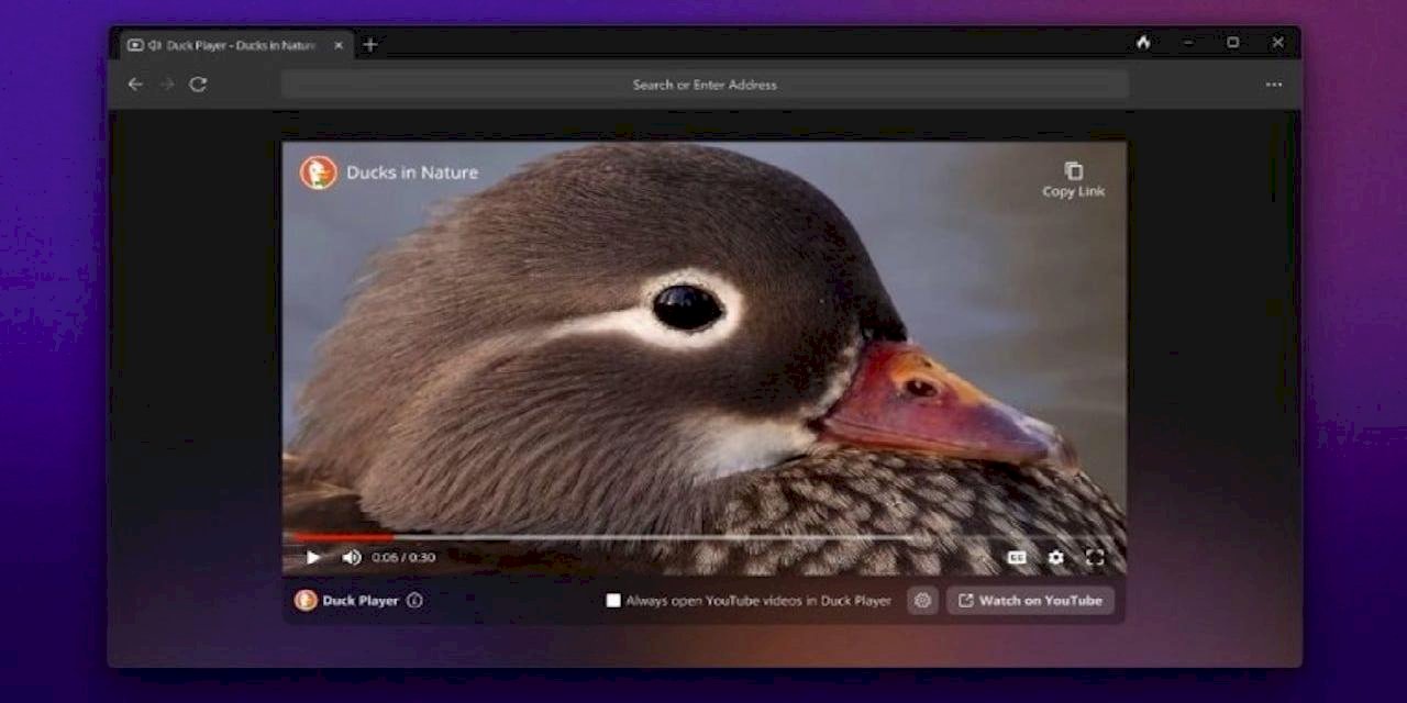 DuckDuckGo Windows Web Tarayıcısı İçin Açık Beta Süreci Başladı