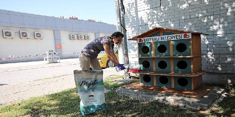 Bayraklı'da can dostlar için 'bir kap su' kampanyası