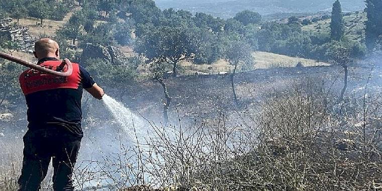 Koçarlı'daki yangın kontrol altına alındı