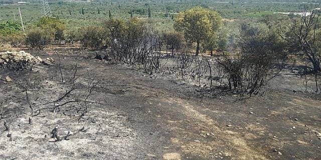 Aydın Büyükşehir Belediyesi İtfaiyesi yangına hızla müdahale etti