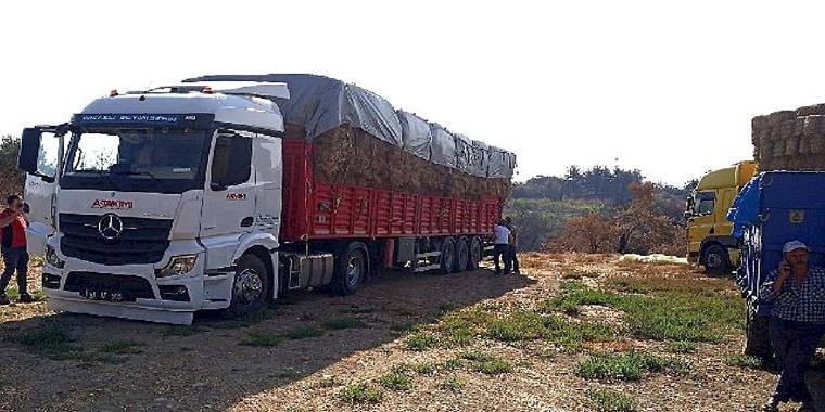 Kocaeli'den, Çanakkale'deki yangın mağduru çiftçilere destek