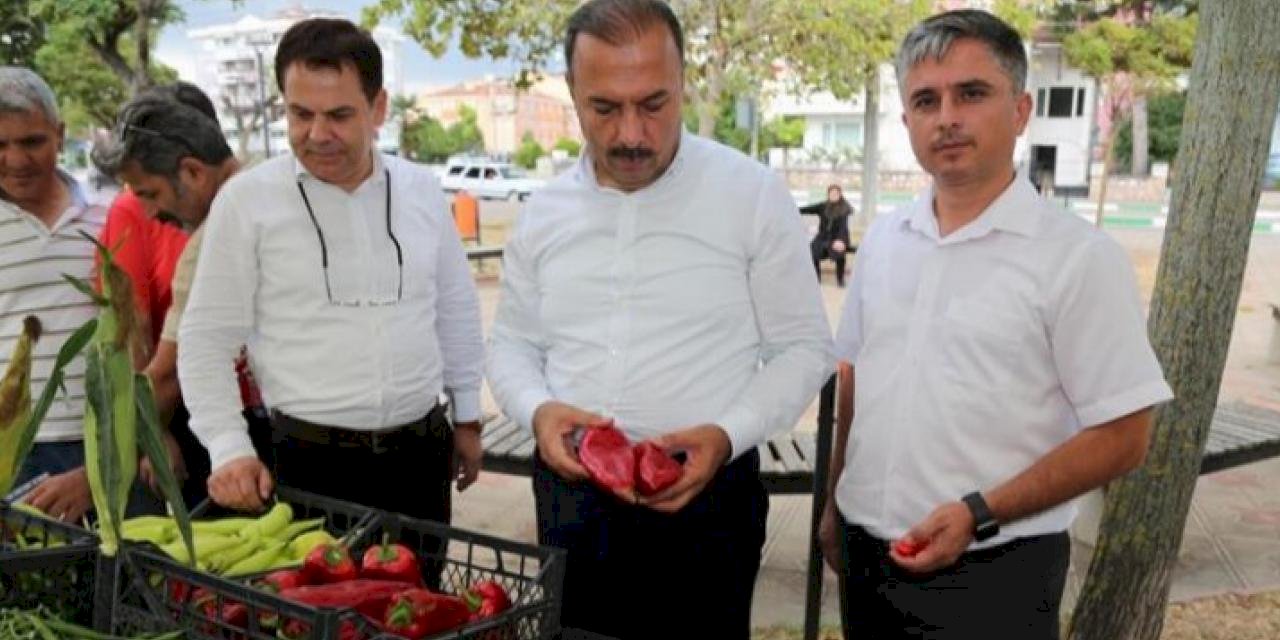 Bursa Yenişehir'de 'Altın Biber Festivali' düzenlendi