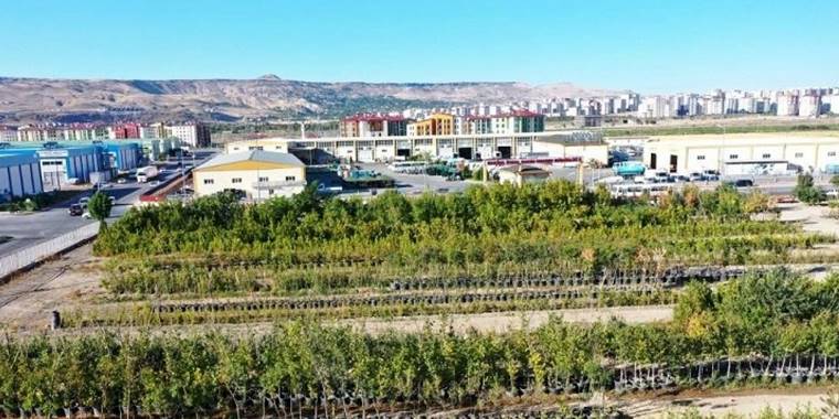 Kayseri Kocasinan 'yeşil' rekor kıracak