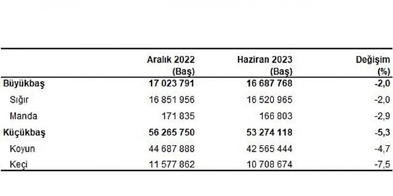 Büyükbaş hayvan sayısı 2023 yılı Haziran ayında 16 milyon 688 bin baş oldu