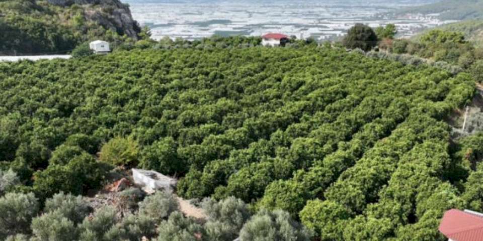 Kapalı devre sulama yüzleri güldürdü