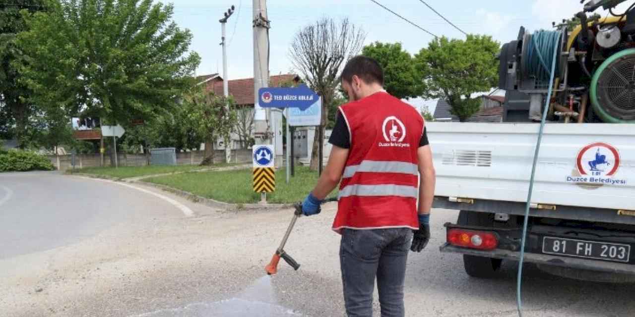 Düzce'de ilaçlama çalışmaları devam ediyor