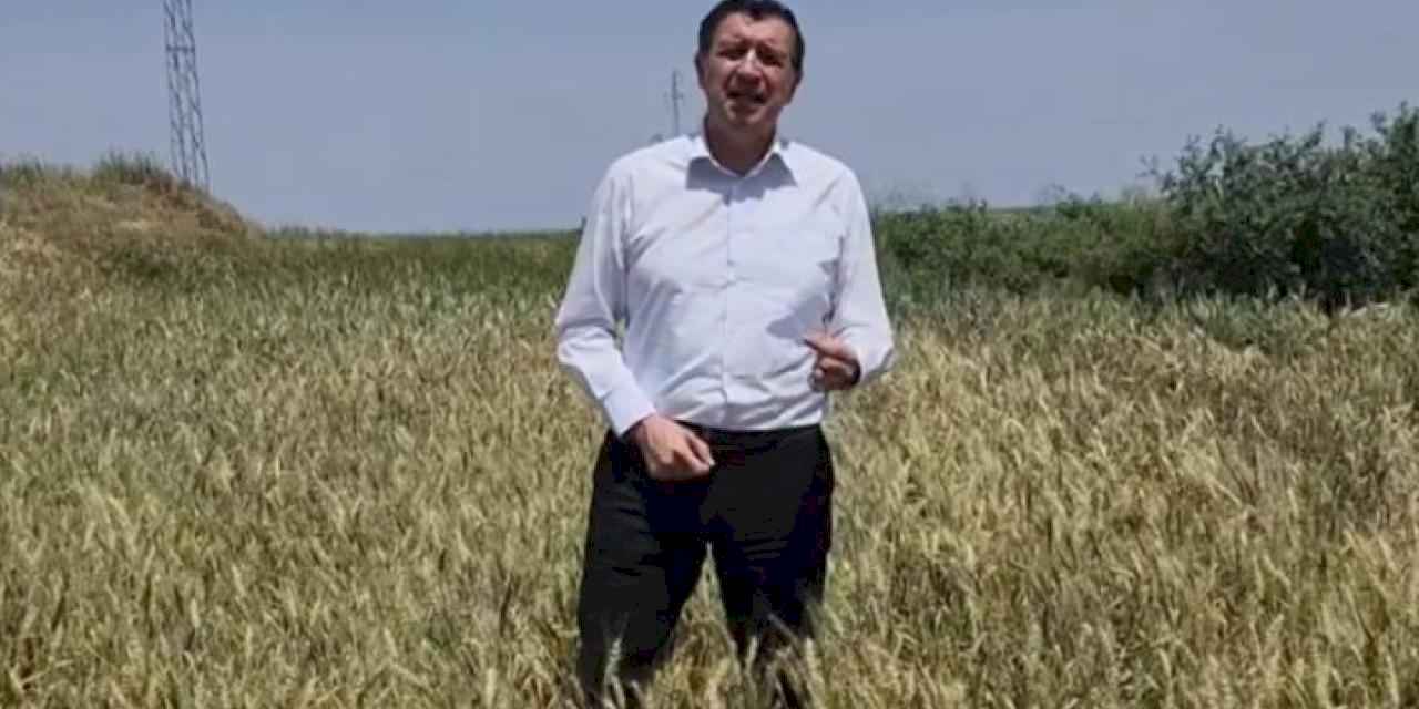 Gaytancıoğlu: Buğday fiyatı en az 15 TL olmalı