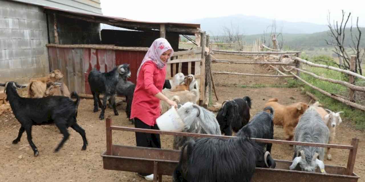 Muğlalı kadın üreticiler kazanıyor