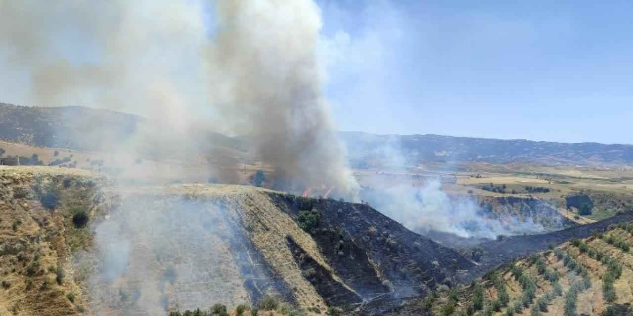 Manisa Alaşehir'de korkutan yangın kontrol altına alındı