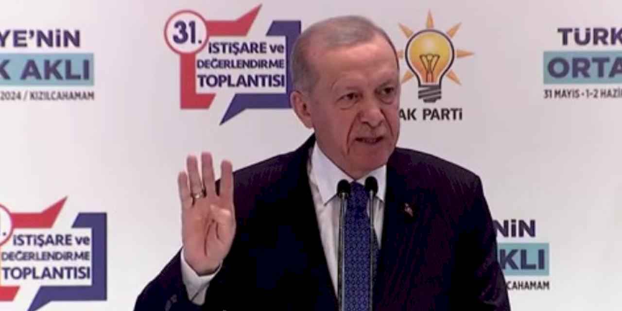 Cumhurbaşkanı Erdoğan: Terör bataklıklarını kurutacağız