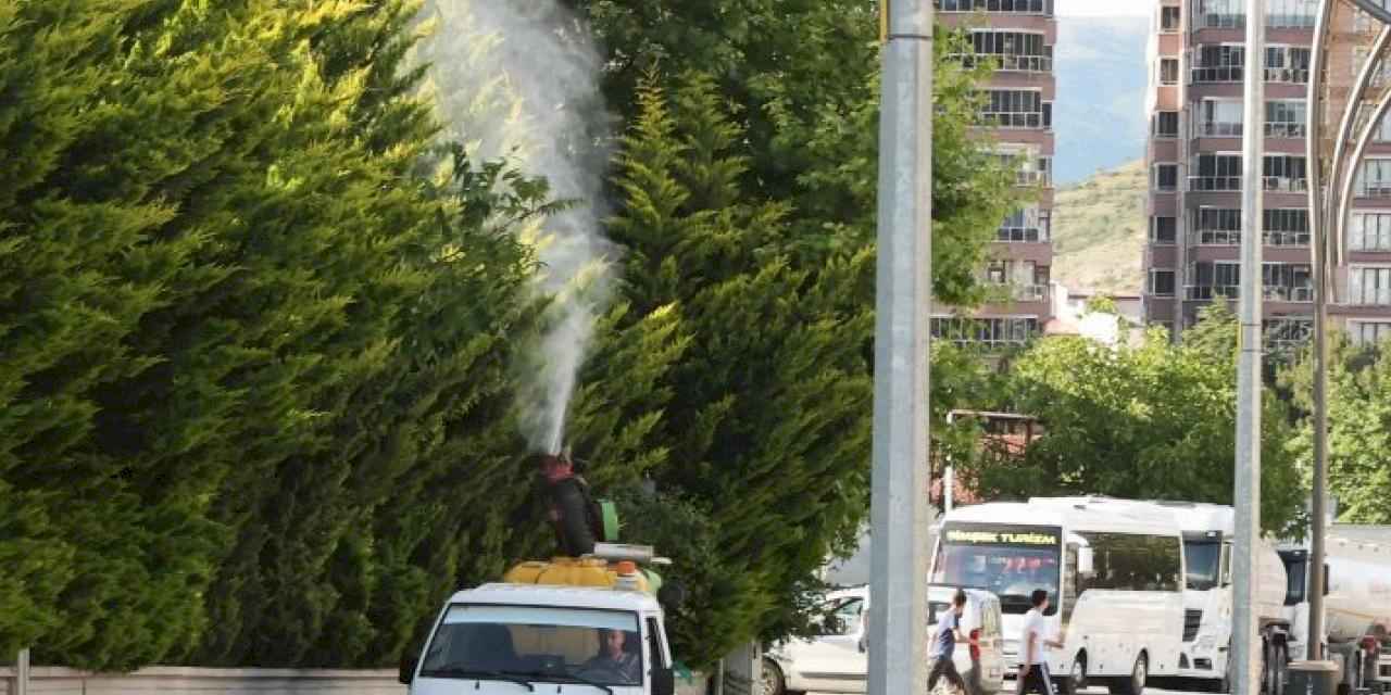 Tokat’ta sivrisinek, larva ve uçkun ile mücadele