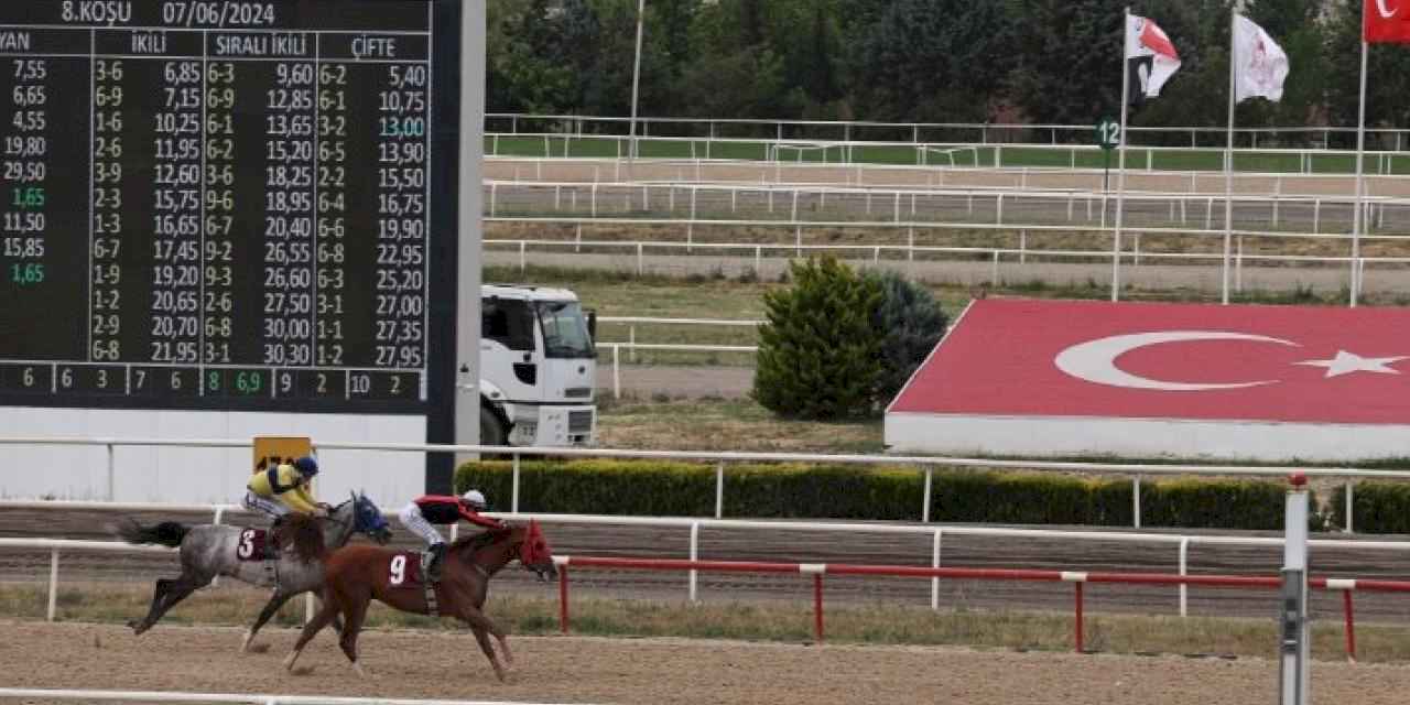 TJK'nın Nilüfer koşusunu 'Kardeşcan' kazandı