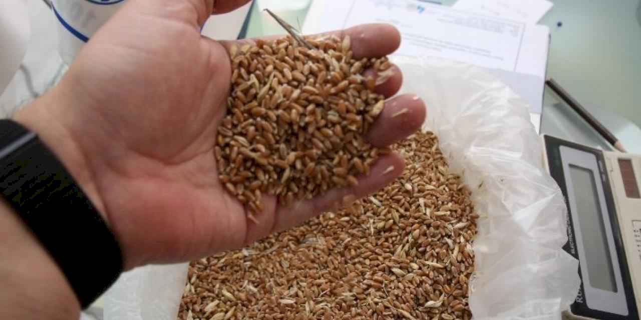 Keşan'da yılın İlk buğday ve arpası borsaya getirildi