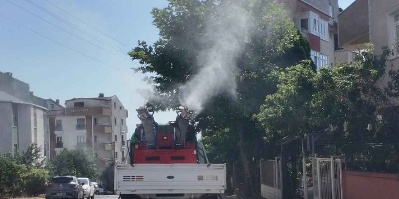 Çayırova’da vektörle mücadele sürüyor