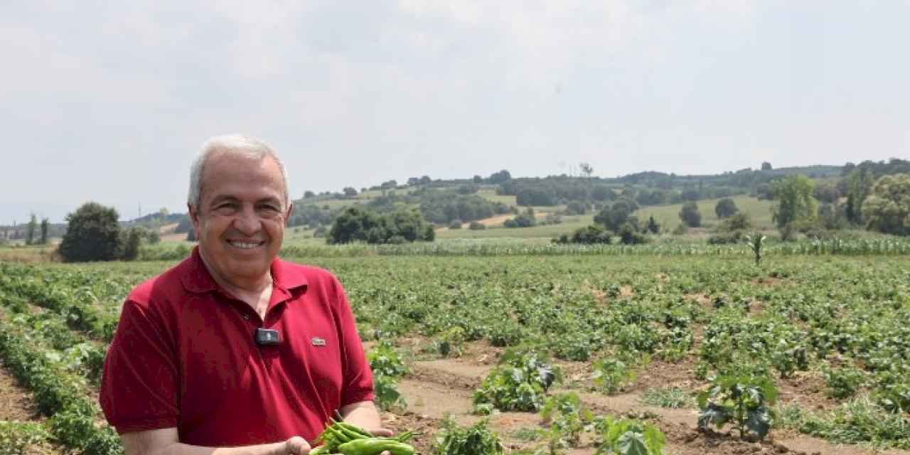 Bursa'da Nilüfer tarımsal üretimde