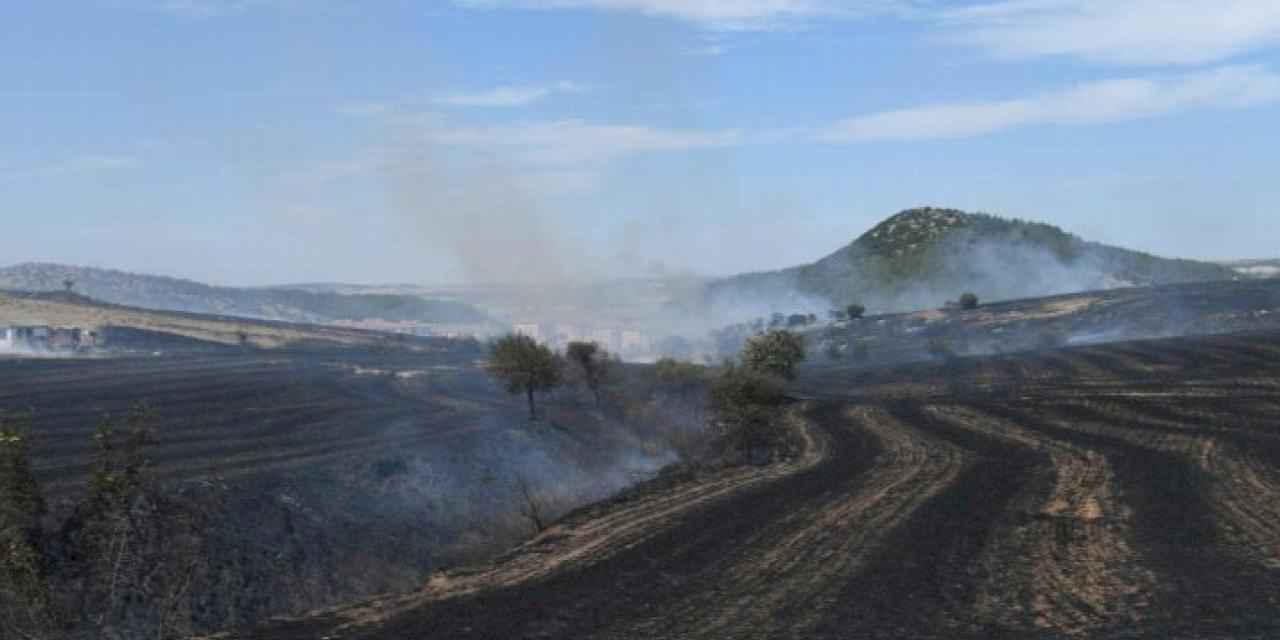 Eski çöplük sahasındaki otluk alanda yangın çıktı