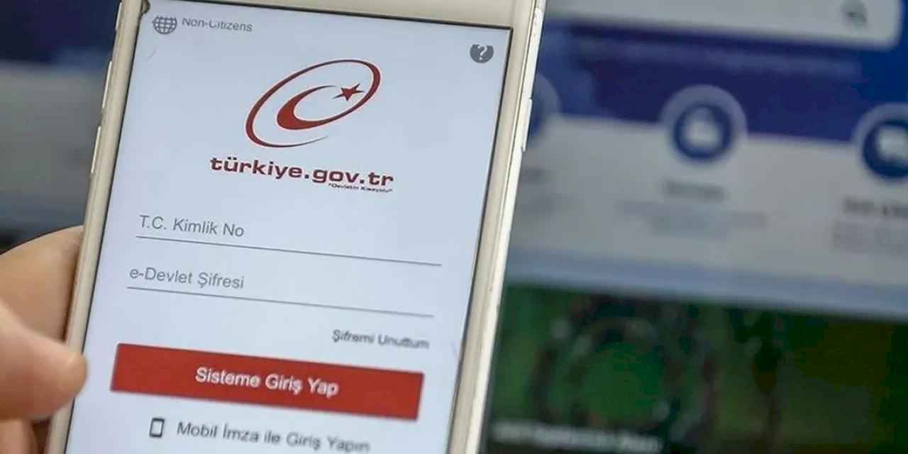 Eksper raporları da e-devlet'te