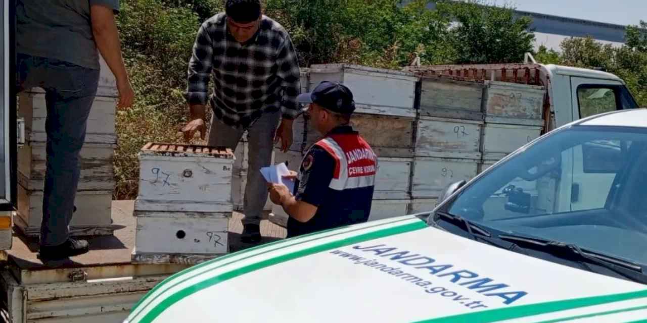 Edirne'de arıcılara önemli uyarı