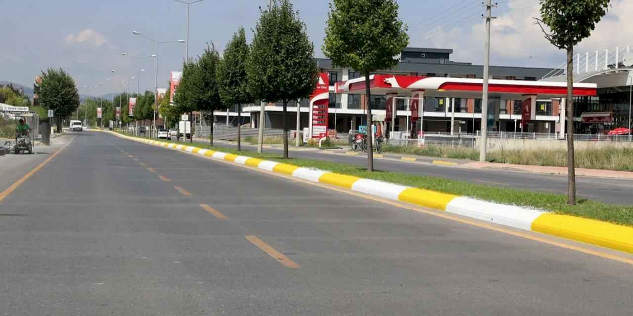 Sakarya'da şehrin merkezindeki iki noktaya renkli dokunuş