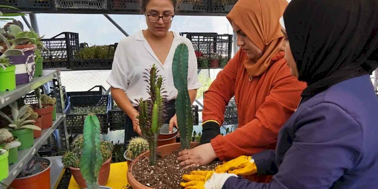 Hem tohumlar hem kadınlar güçleniyor