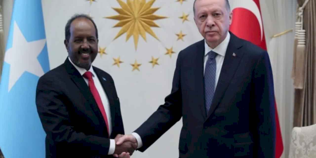 Cumhurbaşkanı Erdoğan, Somalili mevkidaşıyla görüştü