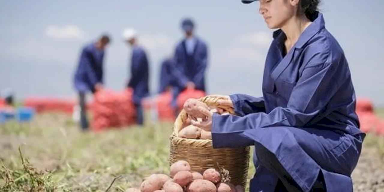 Yenileyici tarımda büyük başarı