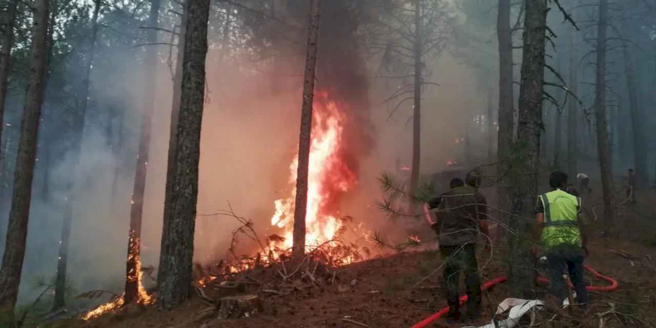 Muğla Büyükşehir orman yangınlarında tüm gücüyle sahada