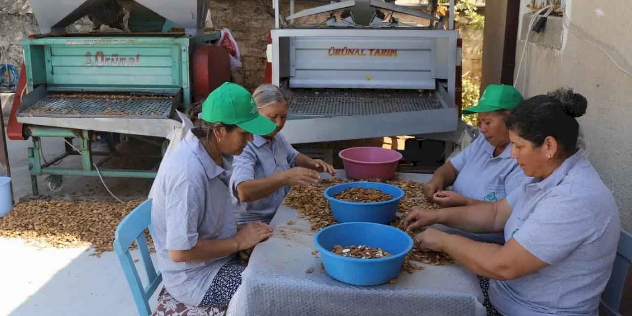 Muğla tarımı dünyaya açılıyor