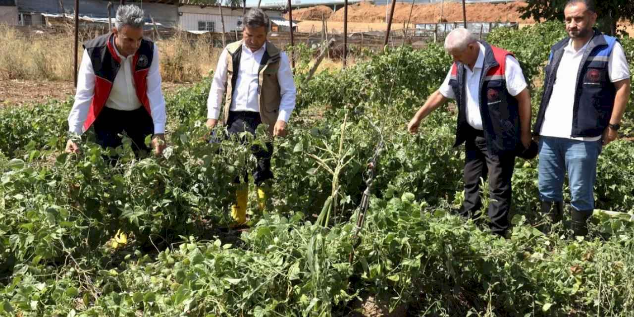 Bilecik Pazaryeri'nde yağıştan zarar gören arazilere yakın mercek