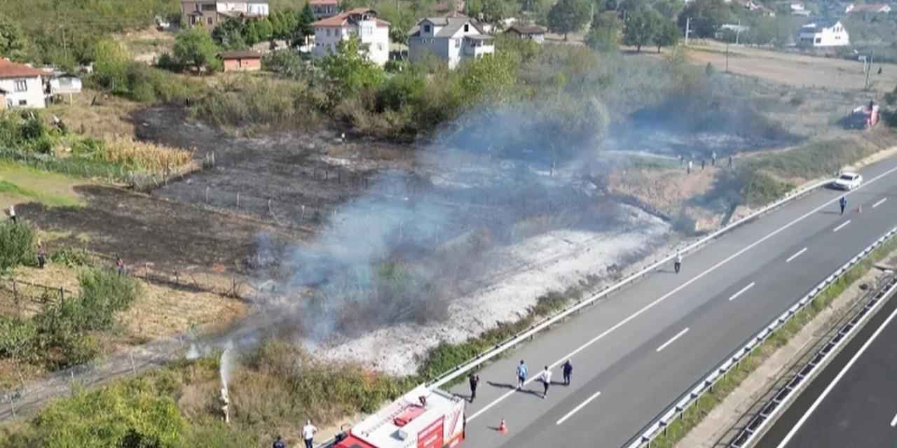 Düzce'de anız yangını! Fındık arazisi zarar gördü!