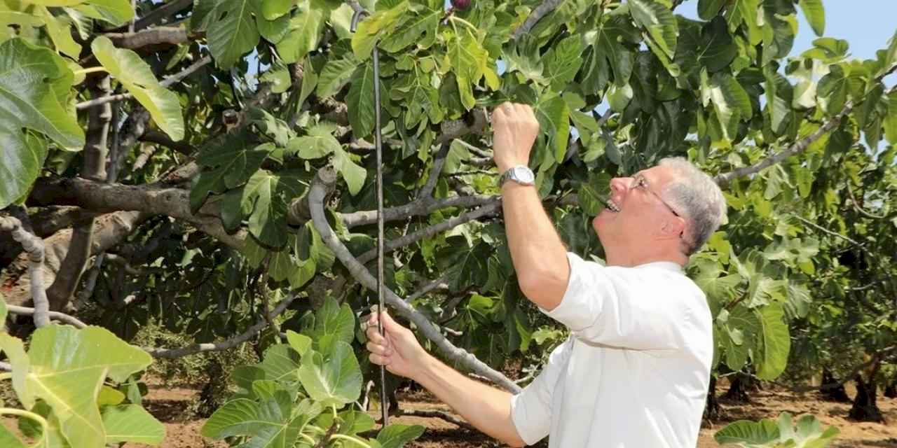 Mudanya'da iki önemli yeni yatırımla üretici kalkınacak