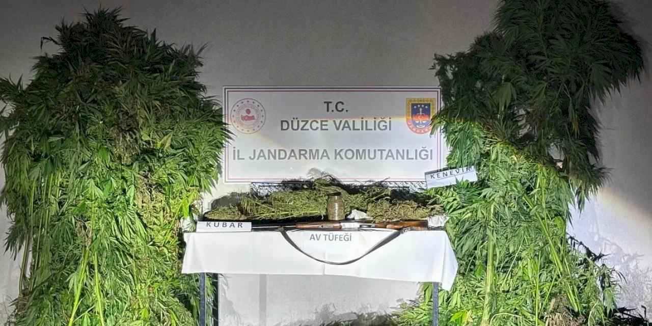 Düzce'de jandarma uyuşturucu operasyonu yaptı