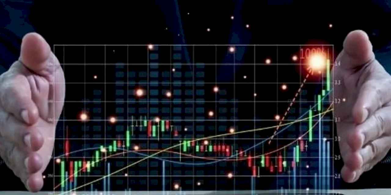 2023'te 20 bin 110 mali aracı kuruluş faaliyette bulundu