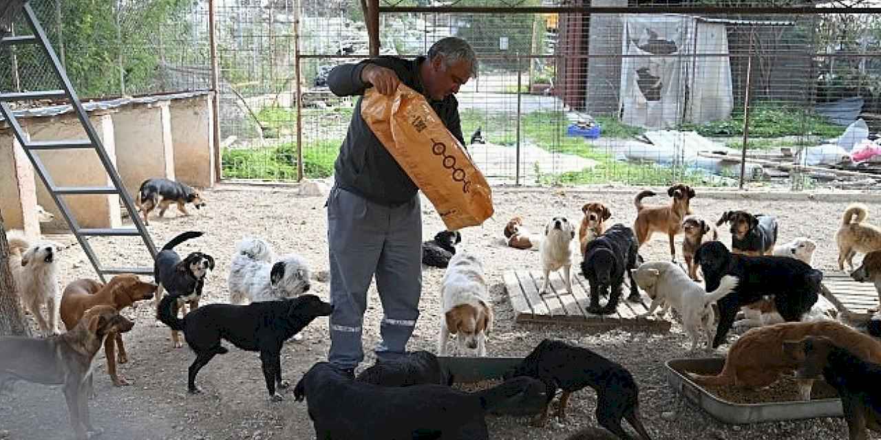 Kemer Belediyesi mama üretim tesisini açıyor