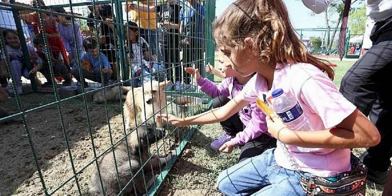 Hayvanları Koruma Gününe Renkli Kutlama