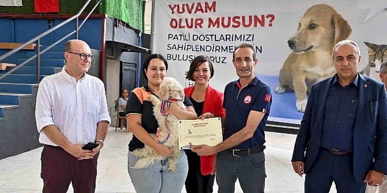 Karabağlar patili dostlar için buluşuyor