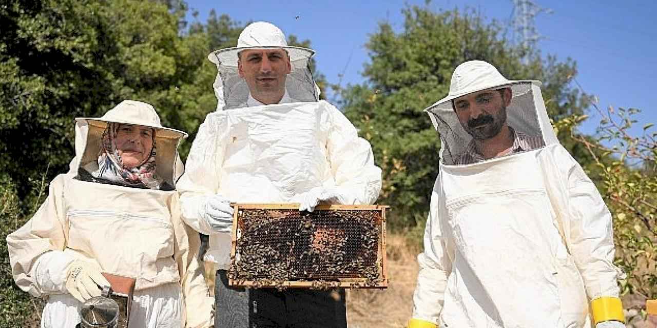 Bornova'da bal gibi proje